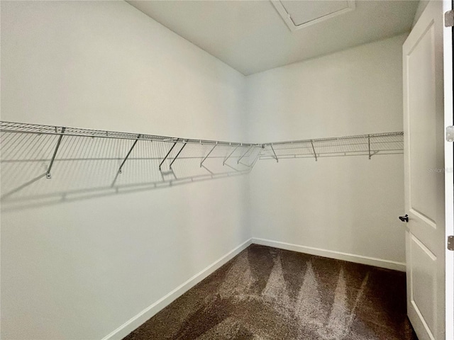 10864 Banyan Breeze Blvd, Land O Lakes, FL 34638 - walk in closet with dark colored carpet and attic access