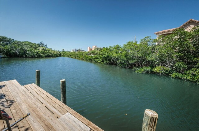 208 Haven Beach Ct, Indian Rocks Beach, FL 33785 - photo 68