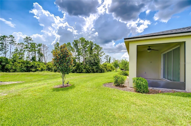 11619 Cambium Crown Dr, Riverview, FL 33569 - view of green lawn