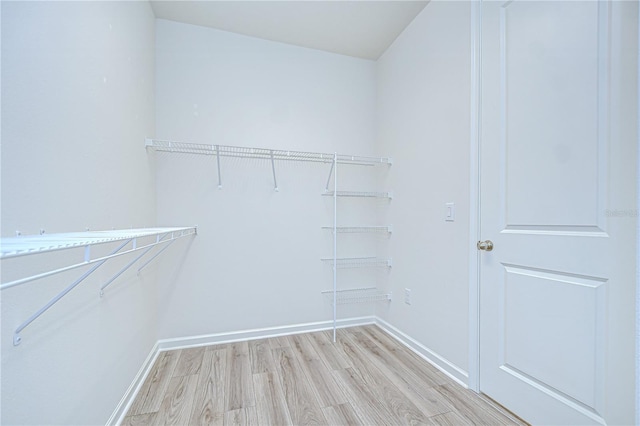11619 Cambium Crown Dr, Riverview, FL 33569 - walk in closet featuring light wood finished floors
