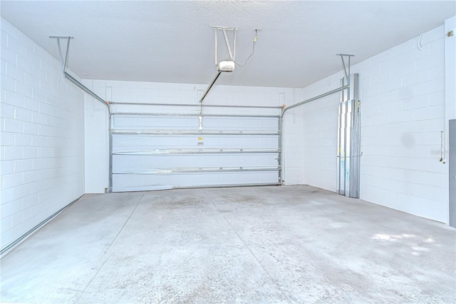 11619 Cambium Crown Dr, Riverview, FL 33569 - garage with a garage door opener and concrete block wall