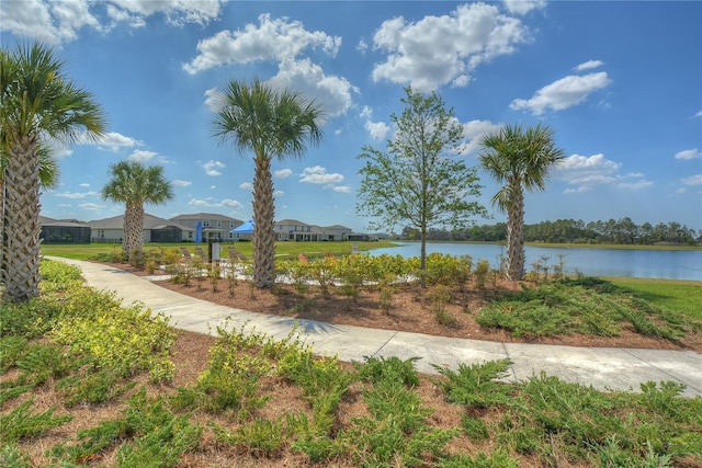 11619 Cambium Crown Dr, Riverview, FL 33569 - water view