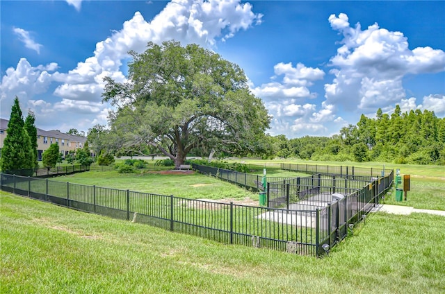 11619 Cambium Crown Dr, Riverview, FL 33569 - view of yard featuring a dog friendly area