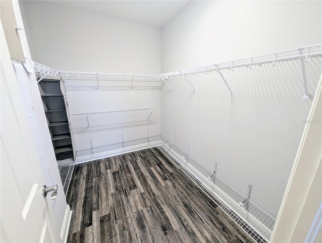 32599 Natural Bridge Rd, Wesley Chapel, FL 33543 - spacious closet featuring wood finished floors
