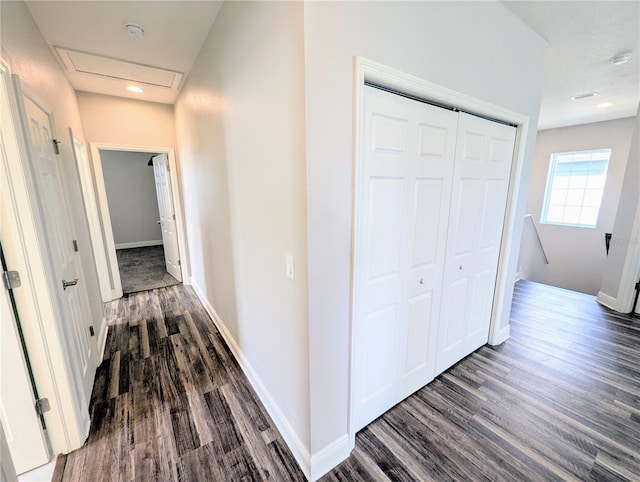 32599 Natural Bridge Rd, Wesley Chapel, FL 33543 - hallway with dark wood-style flooring and an upstairs landing