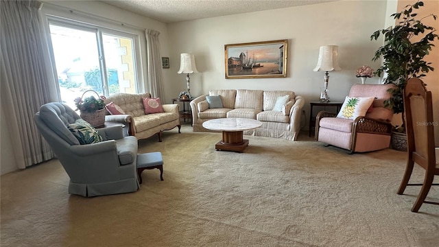 205 Strong Bow Ct, Sun City Center, FL 33573 - photo 4