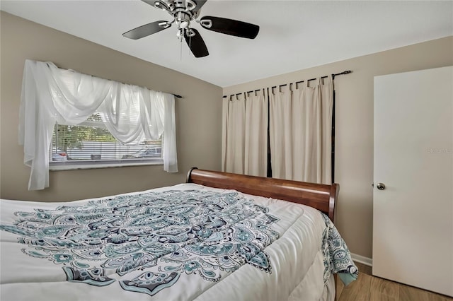 1809 Chinaberry Dr, Oldsmar, FL 34677 - photo 27