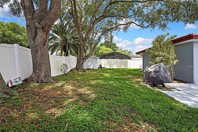 1809 Chinaberry Dr, Oldsmar, FL 34677 - photo 31