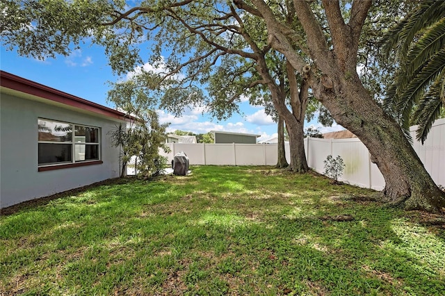 1809 Chinaberry Dr, Oldsmar, FL 34677 - photo 32
