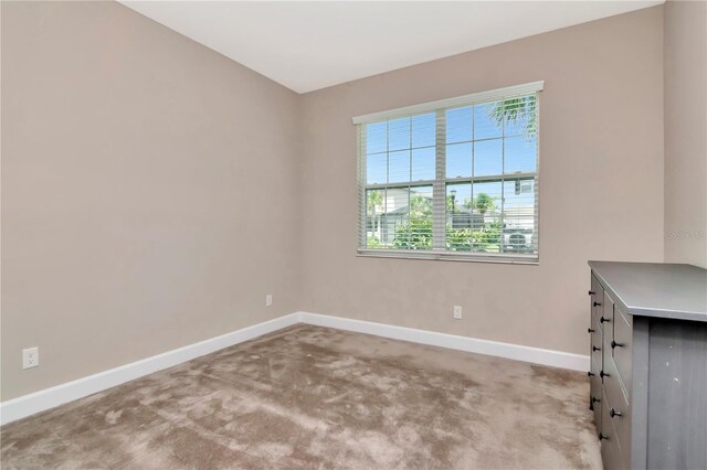 3060 Mountain Spruce Ter, Wesley Chapel, FL 33543 - photo 10