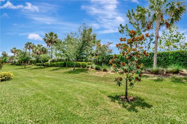3060 Mountain Spruce Ter, Wesley Chapel, FL 33543 - photo 17
