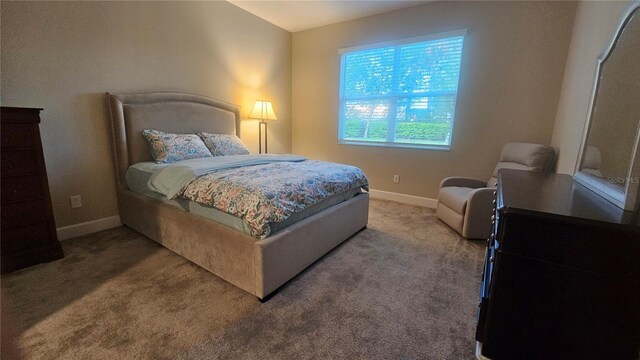 3060 Mountain Spruce Ter, Wesley Chapel, FL 33543 - photo 13
