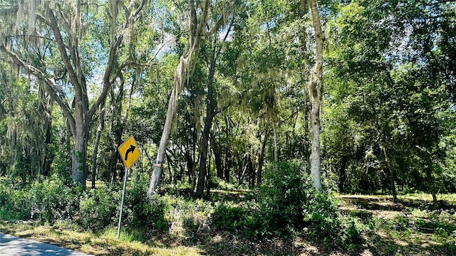 0 SW Shorewood Dr, Dunnellon, FL 34431 - photo 4