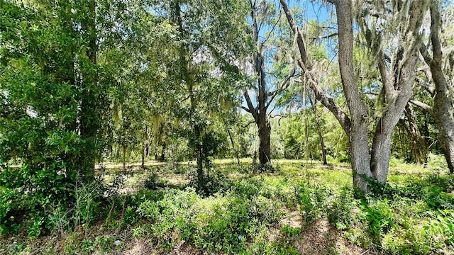 0 SW Shorewood Dr, Dunnellon, FL 34431 - photo 5