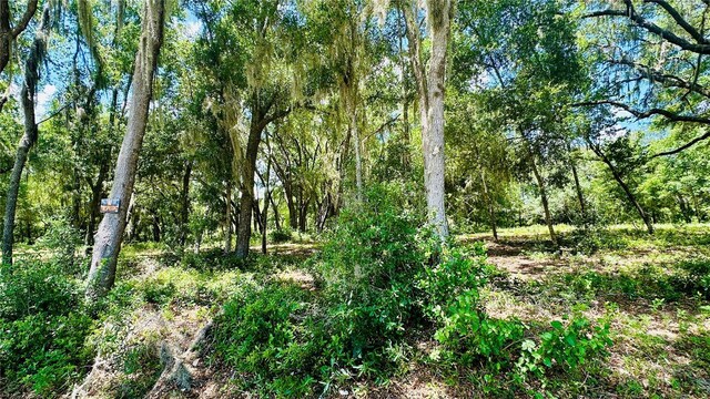 0 SW Shorewood Dr, Dunnellon, FL 34431 - photo 6