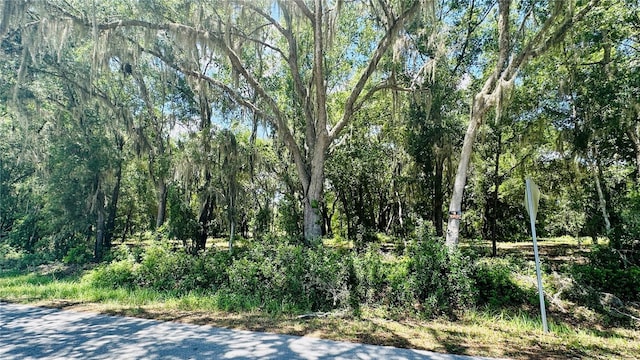 0 SW Shorewood Dr, Dunnellon, FL 34431 - photo 7