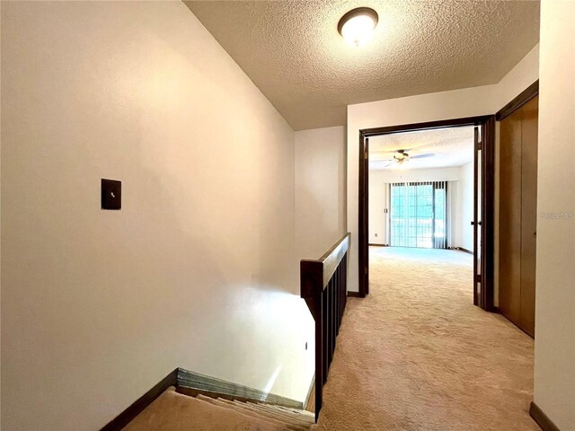 4006 Huxford Ct, Tampa, FL 33624 - photo 13