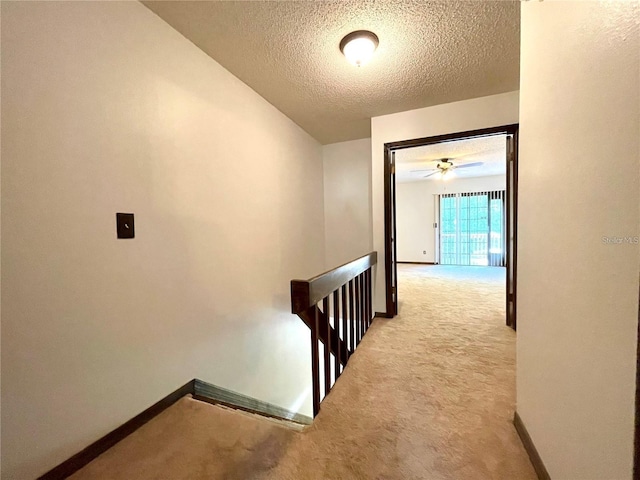 4006 Huxford Ct, Tampa, FL 33624 - photo 14