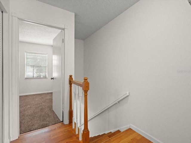 6114 Oak Cluster Cir, Tampa, FL 33634 - staircase with a textured ceiling and wood finished floors