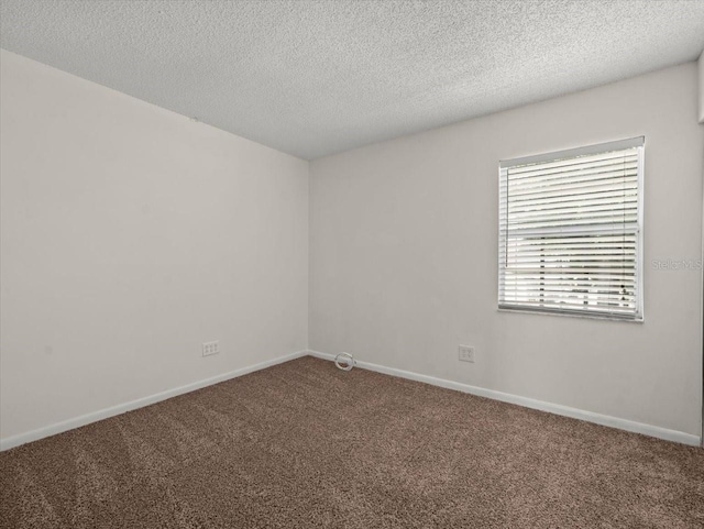 6114 Oak Cluster Cir, Tampa, FL 33634 - spare room featuring carpet flooring and a textured ceiling