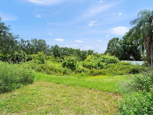 6114 Oak Cluster Cir, Tampa, FL 33634 - view of undeveloped land