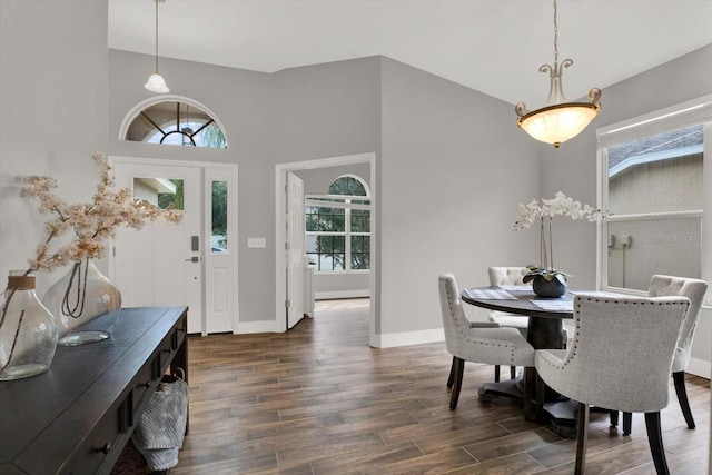 4901 Windingbrook Trl, Wesley Chapel, FL 33544 - dining area with dark wood finished floors
