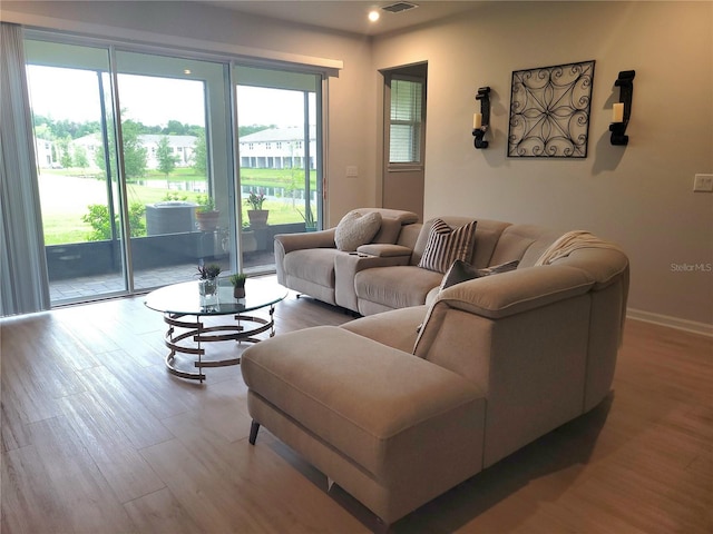 26082 Woven Wicker Bnd, Lutz, FL 33559 - living room with wood finished floors and recessed lighting