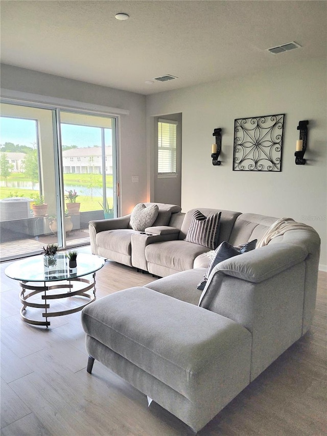 26082 Woven Wicker Bnd, Lutz, FL 33559 - living area with wood finished floors