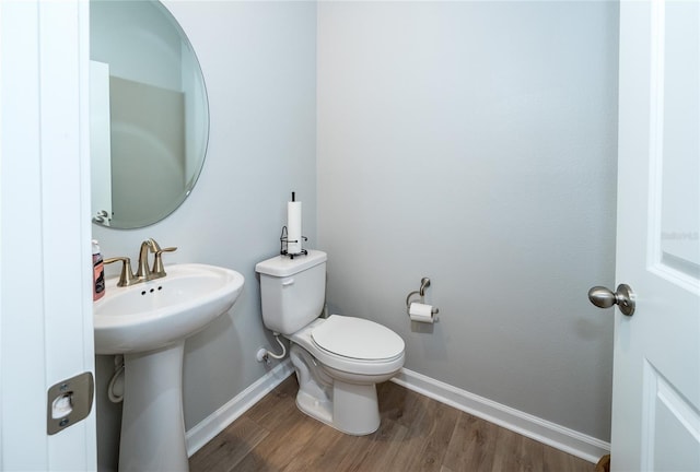 26082 Woven Wicker Bnd, Lutz, FL 33559 - half bath featuring wood finished floors and baseboards