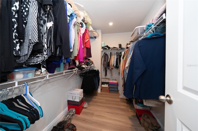 26082 Woven Wicker Bnd, Lutz, FL 33559 - spacious closet with wood finished floors