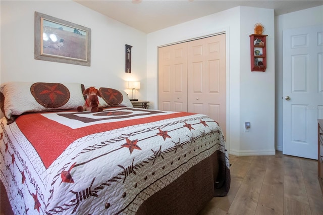 408 River Bed Ct, Wimauma, FL 33598 - bedroom with wood-type flooring and a closet