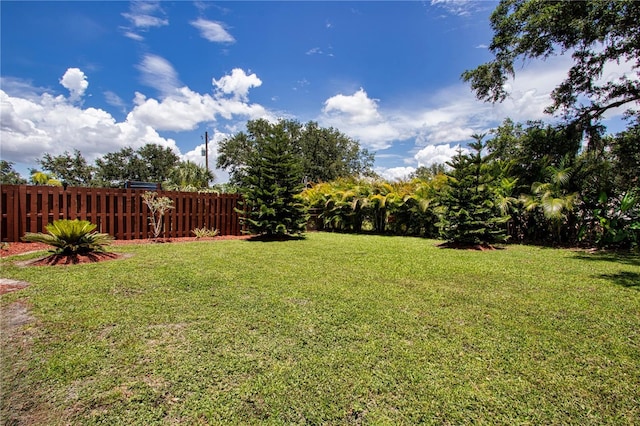 408 River Bed Ct, Wimauma, FL 33598 - view of yard