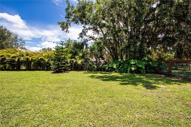 408 River Bed Ct, Wimauma, FL 33598 - view of yard