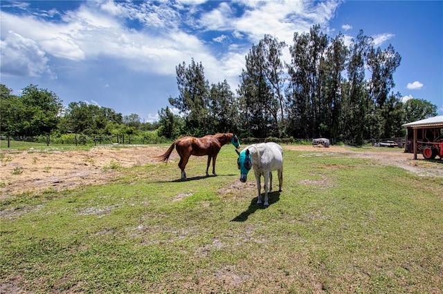 408 River Bed Ct, Wimauma, FL 33598 - view of yard featuring a rural view