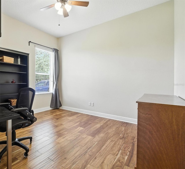 13122 Done Groven Dr, Dover, FL 33527 - photo 32