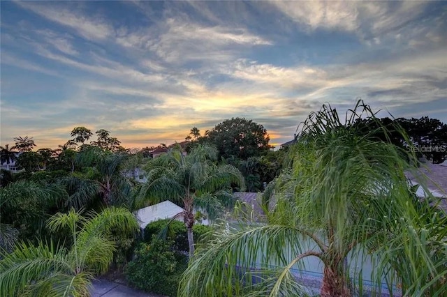 160 Shore Dr, Palm Harbor, FL 34683 - photo 53