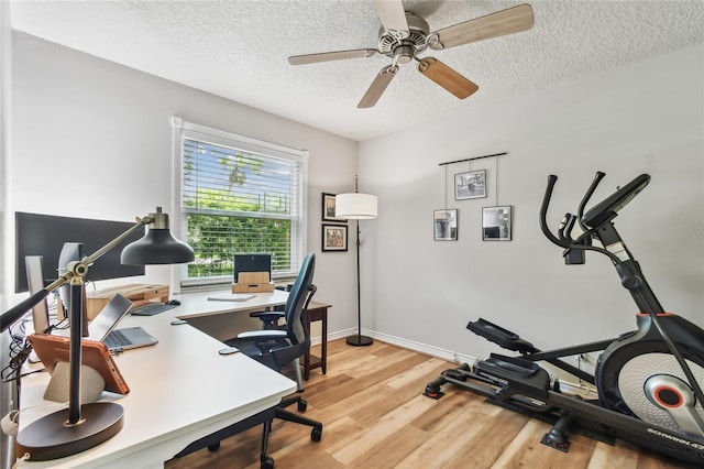 344 Cascade Ln, Palm Harbor, FL 34684 - home office featuring a textured ceiling, light wood-style floors, and ceiling fan