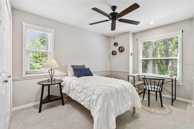 344 Cascade Ln, Palm Harbor, FL 34684 - carpeted bedroom with multiple windows and a ceiling fan