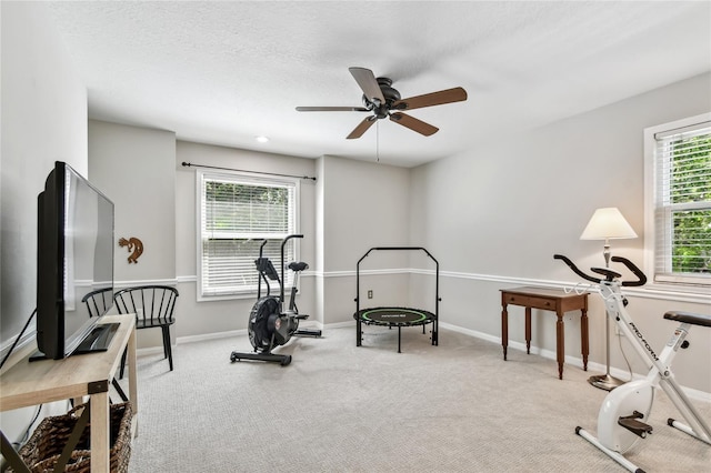 344 Cascade Ln, Palm Harbor, FL 34684 - workout room featuring ceiling fan and carpet