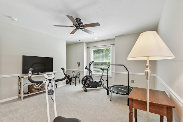 344 Cascade Ln, Palm Harbor, FL 34684 - workout area with carpet and ceiling fan