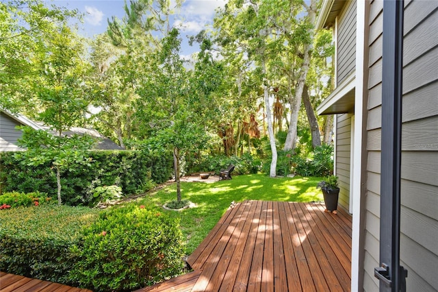 344 Cascade Ln, Palm Harbor, FL 34684 - wooden terrace featuring a yard
