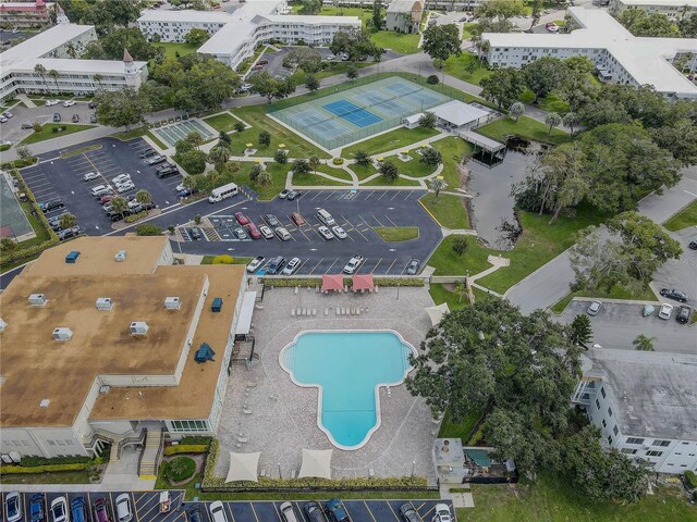 2466 Ecuadorian Way Unit 32, Clearwater, FL 33763 - photo 34