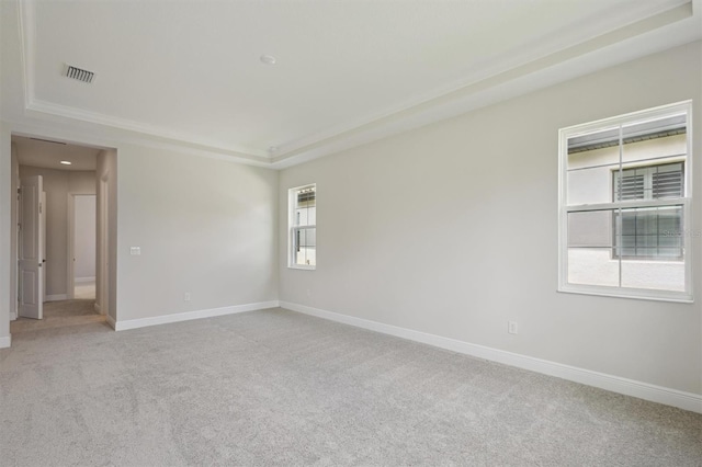 14531 Swiss Bridge Dr, Lithia, FL 33547 - unfurnished room featuring carpet flooring and a raised ceiling
