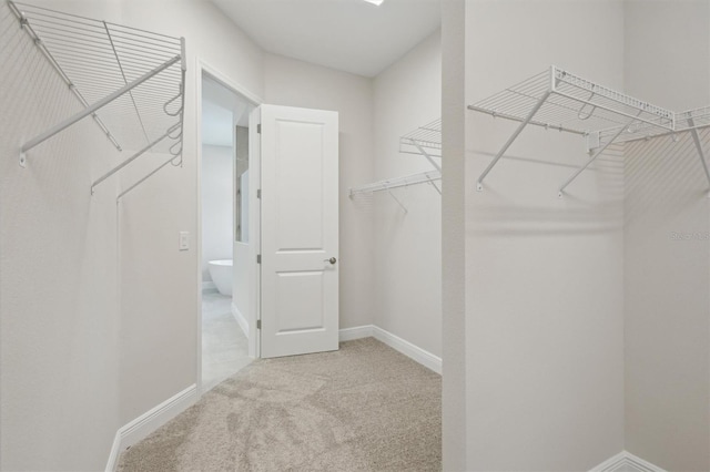 14531 Swiss Bridge Dr, Lithia, FL 33547 - spacious closet with carpet flooring