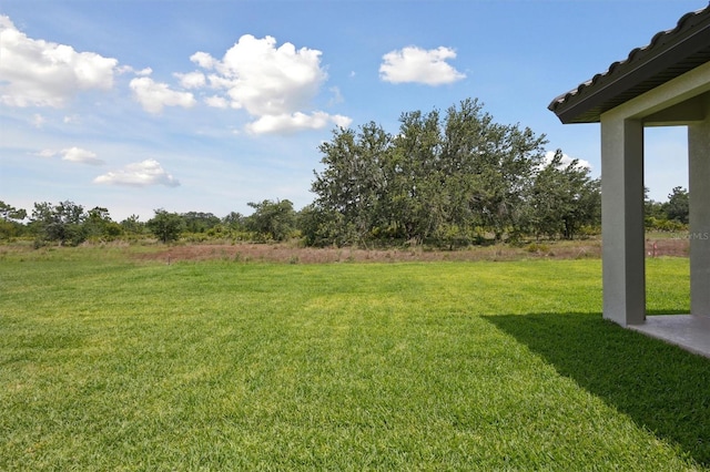 14531 Swiss Bridge Dr, Lithia, FL 33547 - view of grassy yard