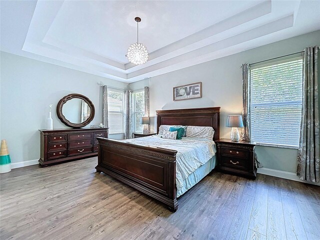 4116 Knollpoint Dr, Wesley Chapel, FL 33544 - bedroom featuring a raised ceiling, multiple windows, and wood finished floors