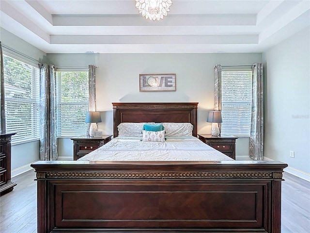 4116 Knollpoint Dr, Wesley Chapel, FL 33544 - bedroom featuring a raised ceiling and wood finished floors