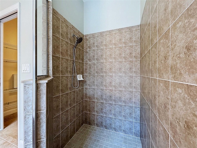 4116 Knollpoint Dr, Wesley Chapel, FL 33544 - full bath with tiled shower and a walk in closet