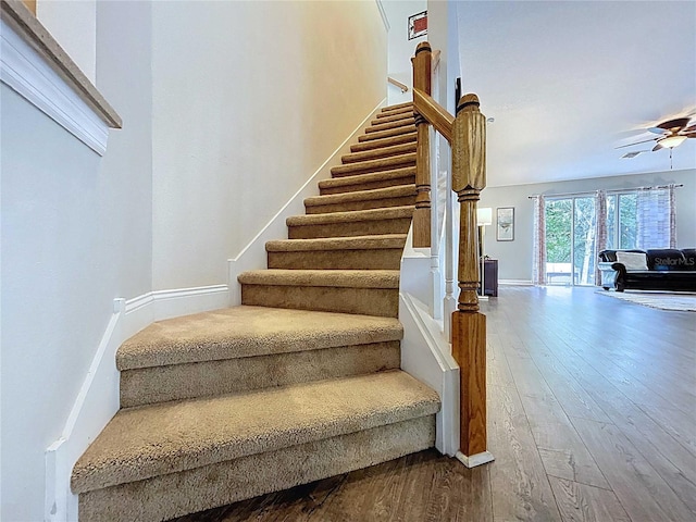 4116 Knollpoint Dr, Wesley Chapel, FL 33544 - stairway featuring wood-type flooring and a ceiling fan