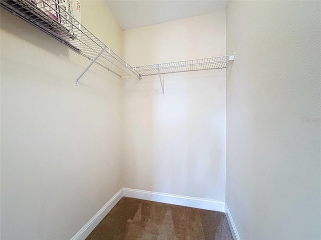 4116 Knollpoint Dr, Wesley Chapel, FL 33544 - spacious closet featuring carpet flooring